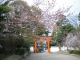 円山公園