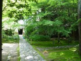 洛北蓮華寺の新緑