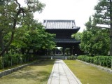 :建仁寺の新緑