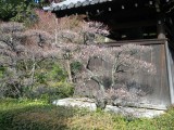 雲龍院