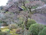 泉湧寺雲龍院