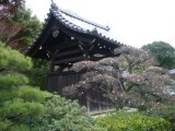 泉湧寺雲龍院