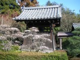 雲龍院