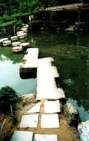 岡崎 神苑の飛び石
