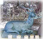 大原野神社の神の使いは春日大社と同じく鹿