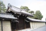 京都御所拝観は普段は予約制春秋には一般公開される